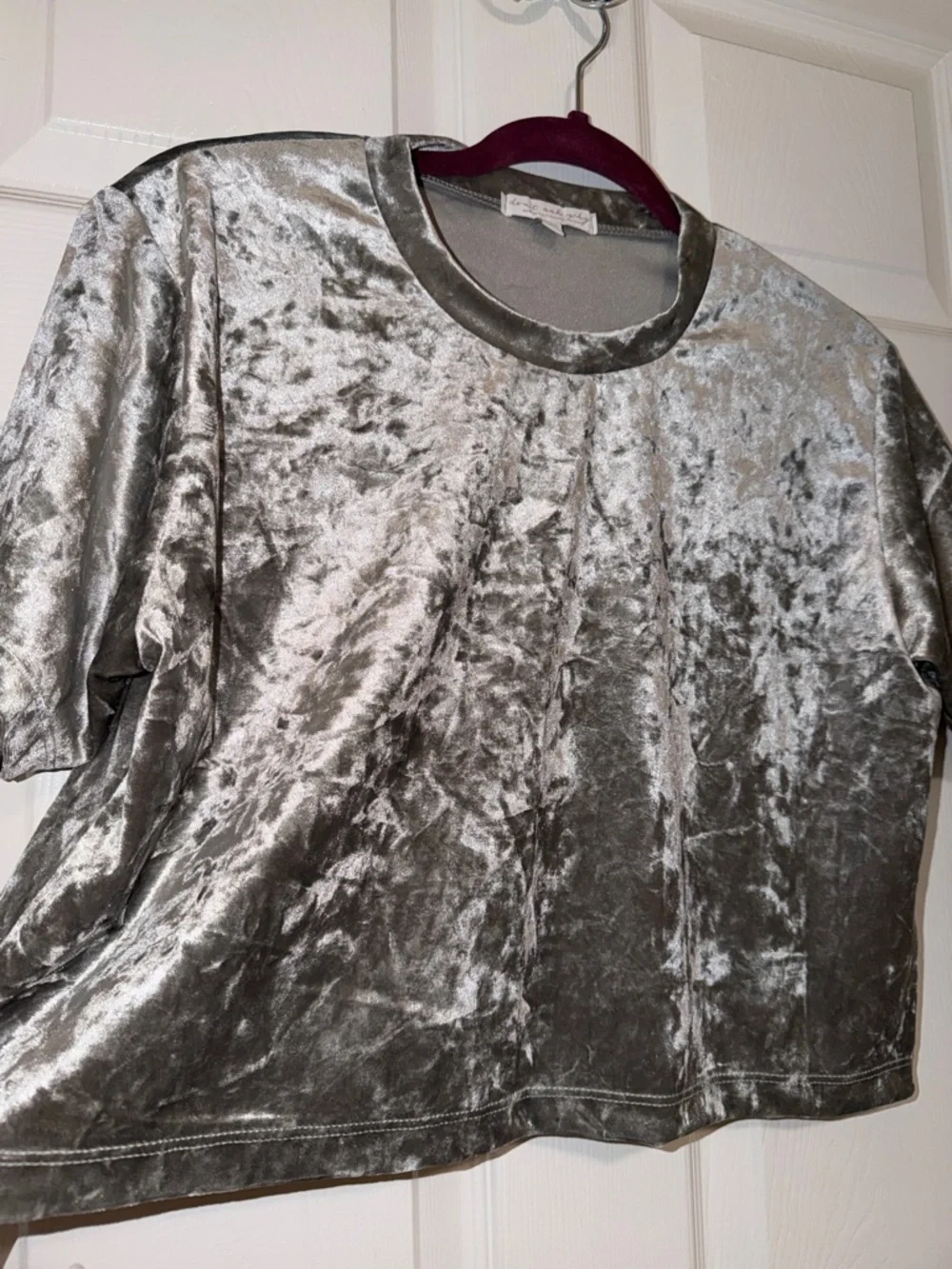 Don’t Ask Why Velvet Short-Sleeve Boxy Crop Top - Silver OS - Picture 2 of 5